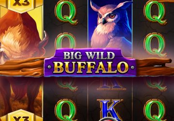 Автомат Big Wild Buffalo в Sol Casino